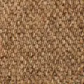 Ravenna Bark